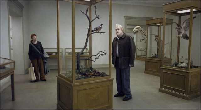 egy galamb leült egy ágra...3