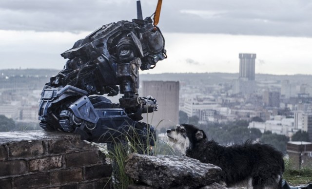 chappie2